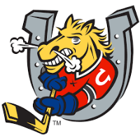 midget Aaa barrie colt midget Aaa barrie colt